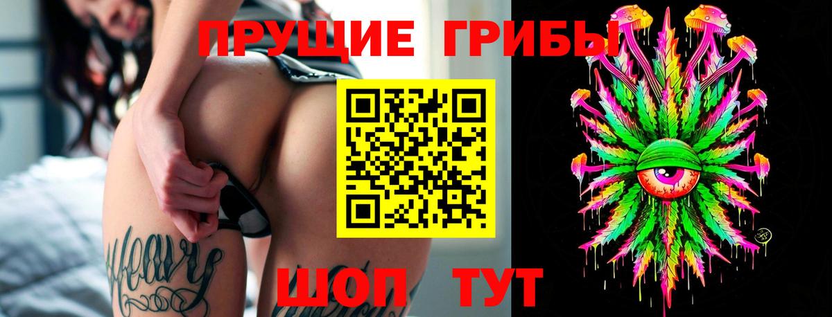 Дивногорск  Псилоцибиновые грибы Psilocybe  Вход с VPN 